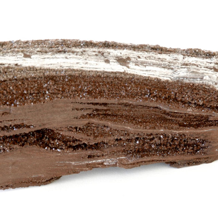 petrified wood quartz druze place 8 healing